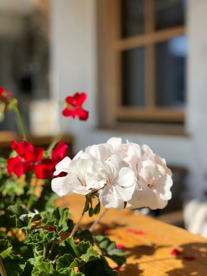 Alpbach 646公寓 外观 照片